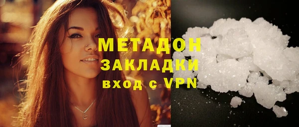 индика Алексин