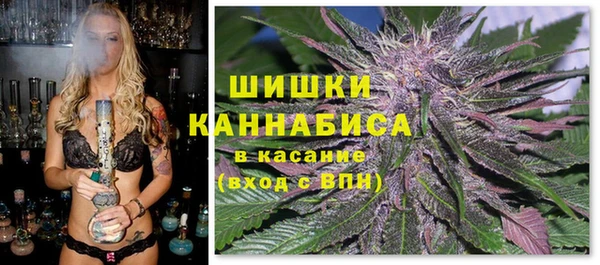 мяу мяу мука Алзамай