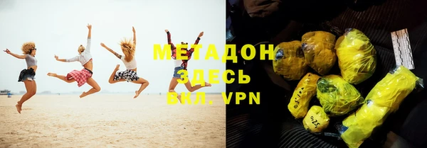 индика Алексин