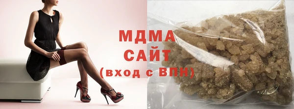 индика Алексин