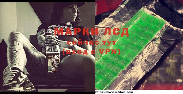 индика Алексин