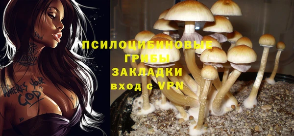 винт Алексеевка