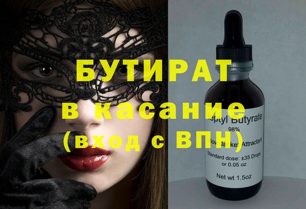 индика Алексин