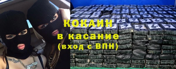 индика Алексин