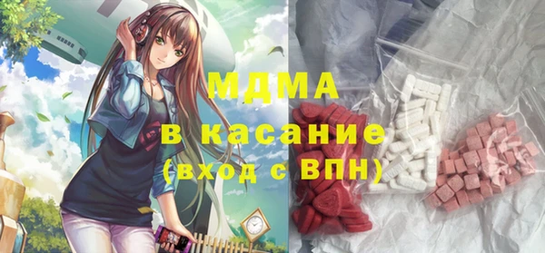 индика Алексин