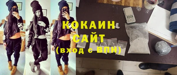 индика Алексин